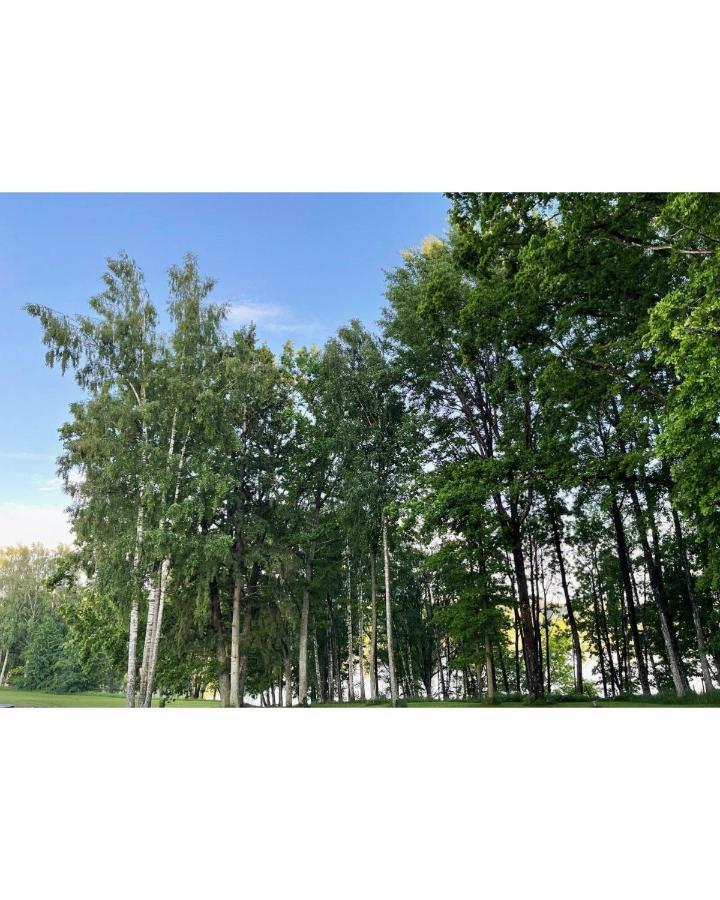 Brivdienu Maja Ezerkalni Myza Dzirtsiyems Exterior foto